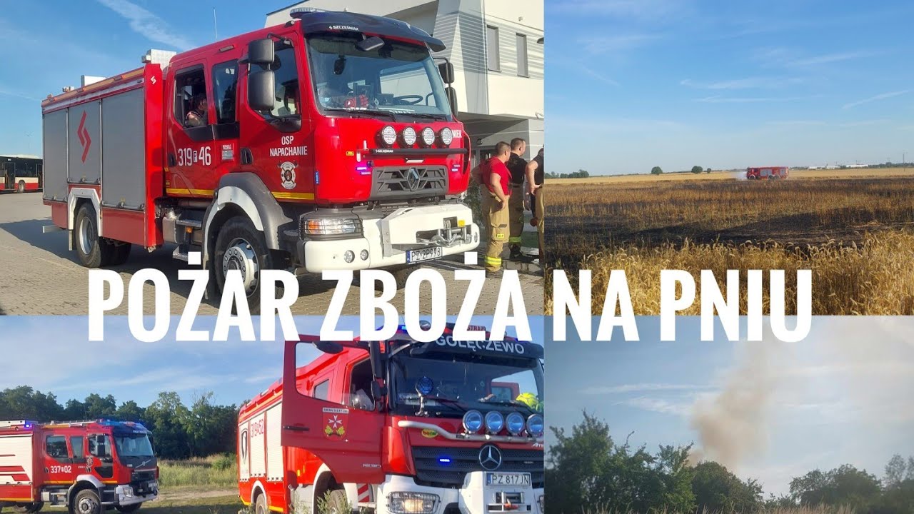 POŻAR ZBOŻA NA PNIU! W AKCJI 15 ZASTĘPÓW STRAŻY POŻARNEJ - RELACJA Z MIEJSCA POŻARU!