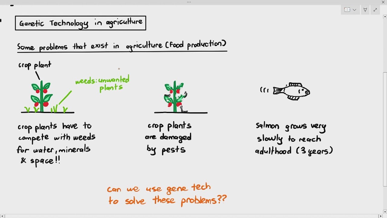19-17 Gene Technology in Agriculture & the Ethics (Cambridge AS A Level Biology, 9700)