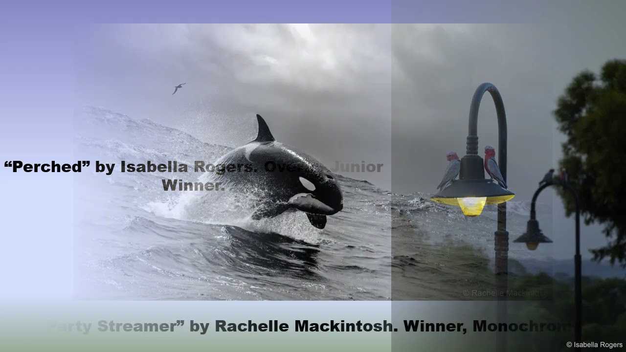 Winners of the 2025 Australian Geographic Nature Photographer of the Year