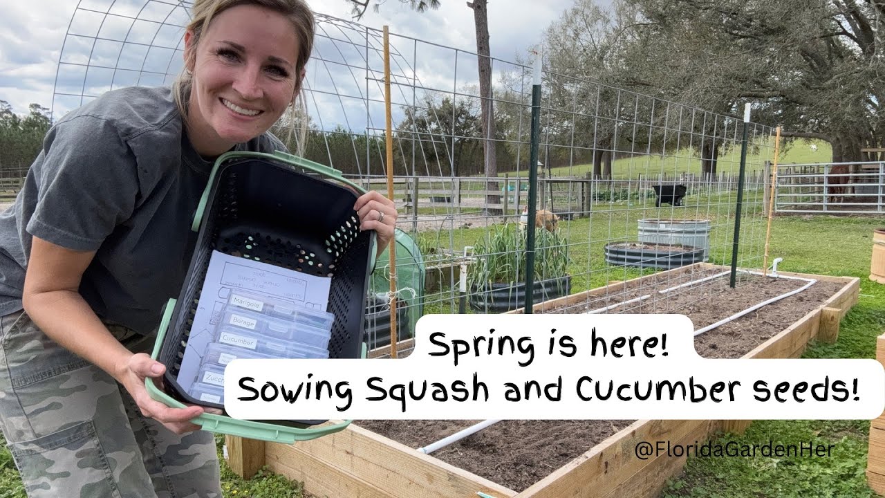 Sowing Seeds in our North Florida Garden - Risking Cents instead of Dollars- Take 2