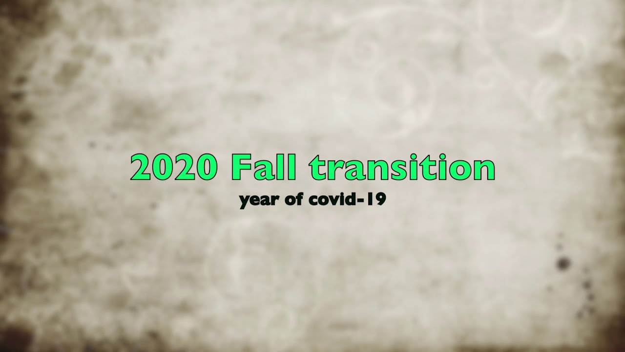 Fall Transition