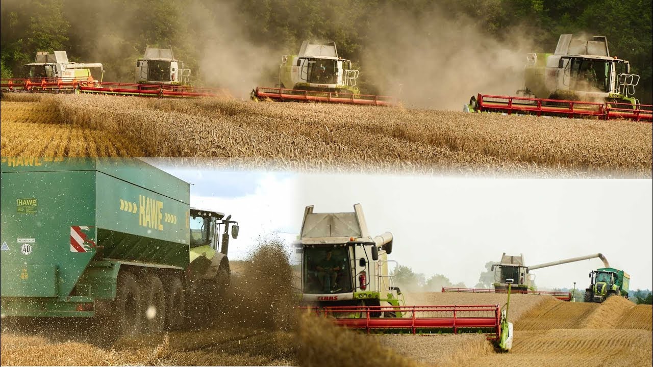 MEGA MOKRE I WIELKIE ŻNIWA 2017! 5 Claas Lexion, 3 Claas Axion, BIG Harvest, CaseTeam