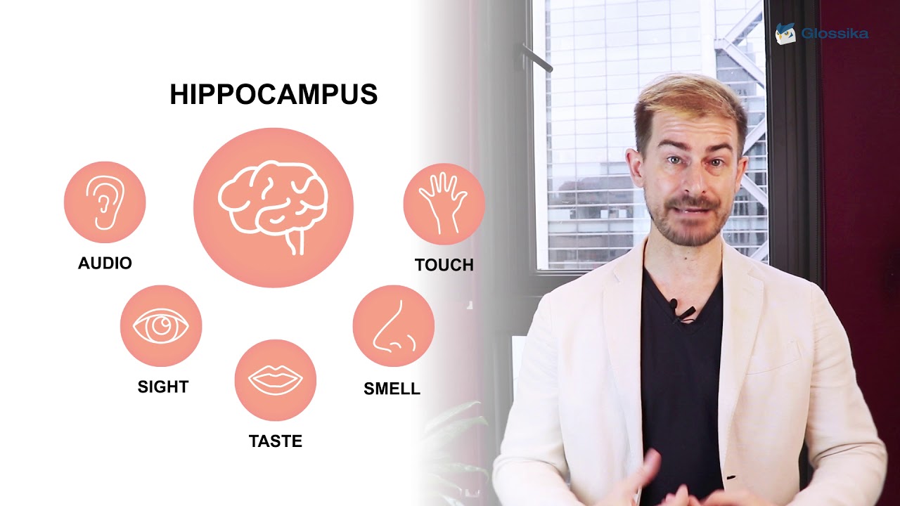 Language Learning: 2 Different Spaced Repetition Systems | #DailyMIKE 016