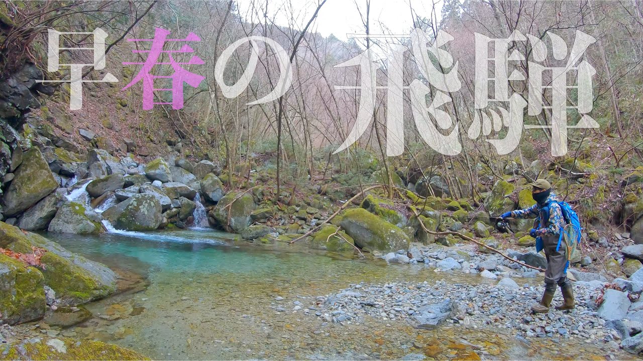 【渓流ルアーフィッシング】飛騨の天然魚に会いに行く