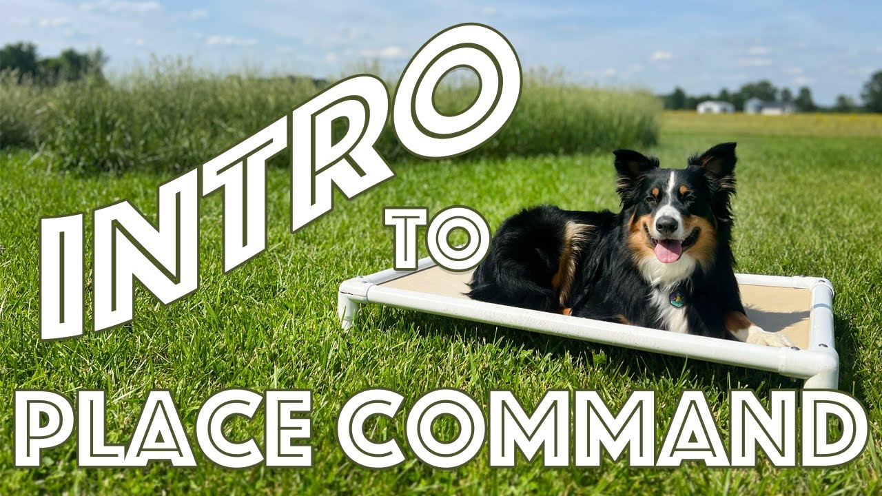 INTRO TO PLACE COMMAND