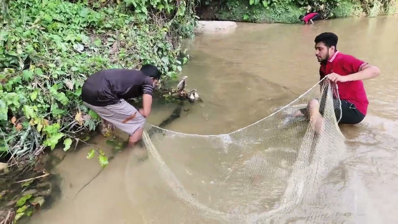 দেখুন বন্ধুরা,মালেশিয়া প্রবাসী কিবাবে মাছ ধরে, Friends,see how Malaysian expatriates fish.