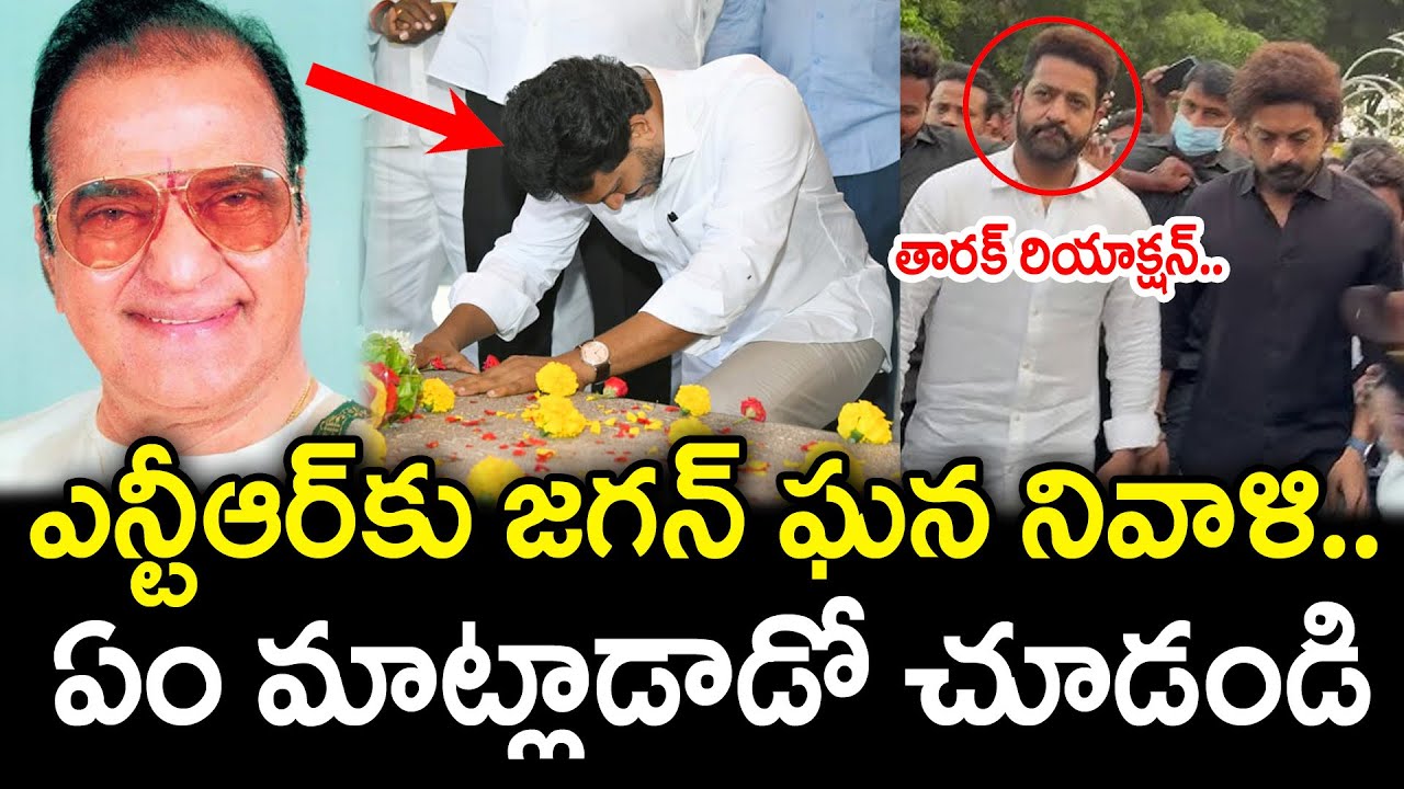 YS Jagan Exellent Words On Sr.NTR | YSRCP : PDTV News
