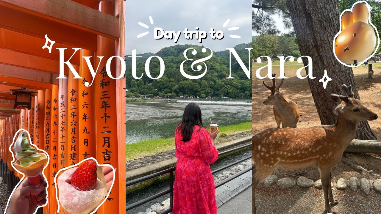 Osaka Vlog #2: Kyoto, Nara deer park, arashiyama bamboo forest, miffy cafe | japan vlog 🇯🇵⛩️🦌