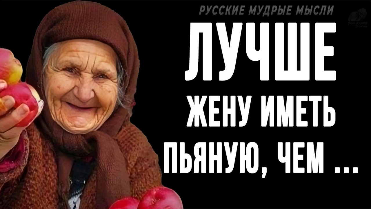 Короткие, но очень мудрые Русские пословицы и поговрки | Цитаты, афоризмы, мудрые мысли