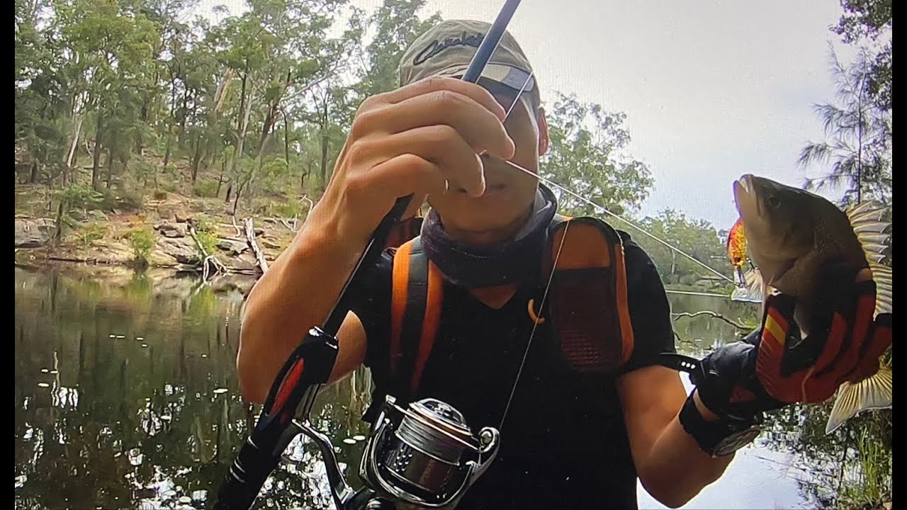 Abu Eradicator Rod with  Shimano Stella 1000 reel lure fishing for Australia Bass/悉尼路亚澳洲淡水鲈鱼