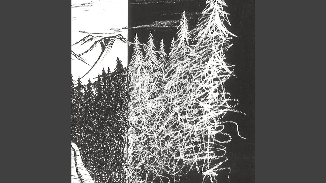 Don't Go into the Woods