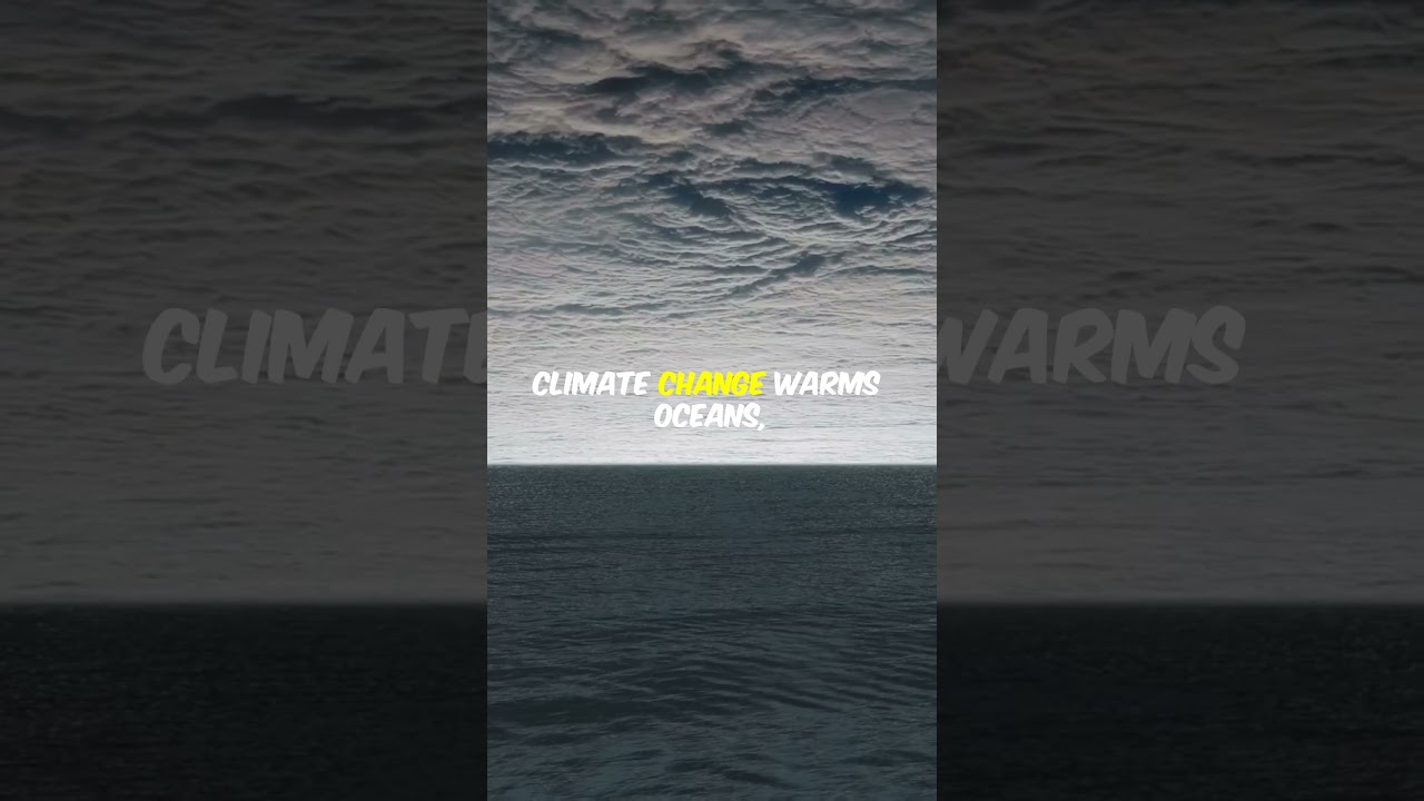 Did Climate Change Cause Deadly Flight Turbulence? 🌪️✈️ #ClimateChange #Turbulence #FlightSafety