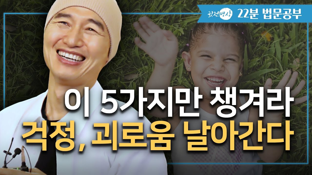 마음이 마음대로 안될 때 이렇게 해보세요 / 이 5가지 순서를 알고부터, 걱정 괴로움에서 벗어났다 [22분🛎️법문공부]