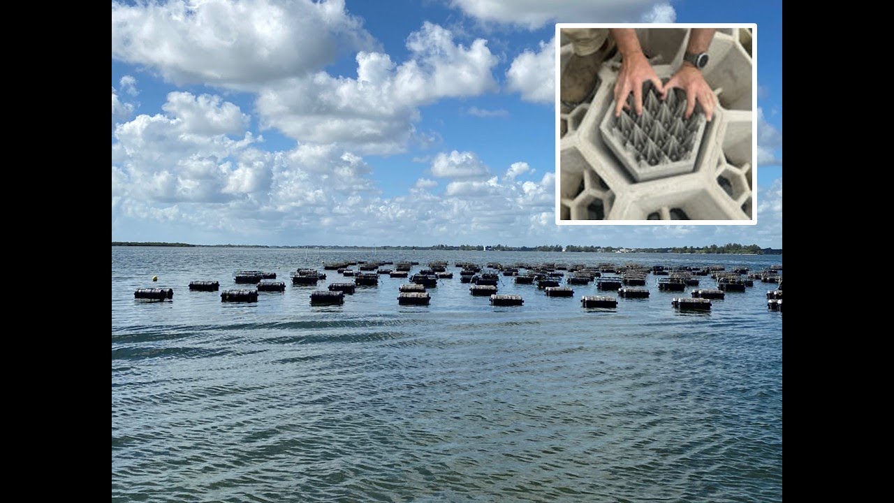Oyster Aquaculture: A Dual Approach to Building Clean Water and Local Economies