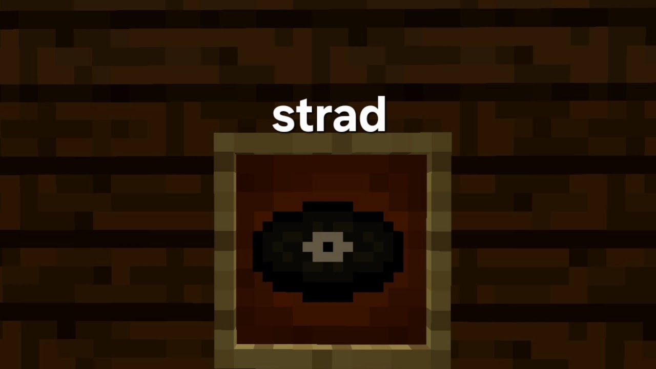 마인크래프트 음반 strad