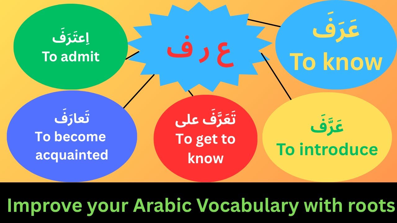 Improve your Arabic Vocabulary by learning roots with example sentences.