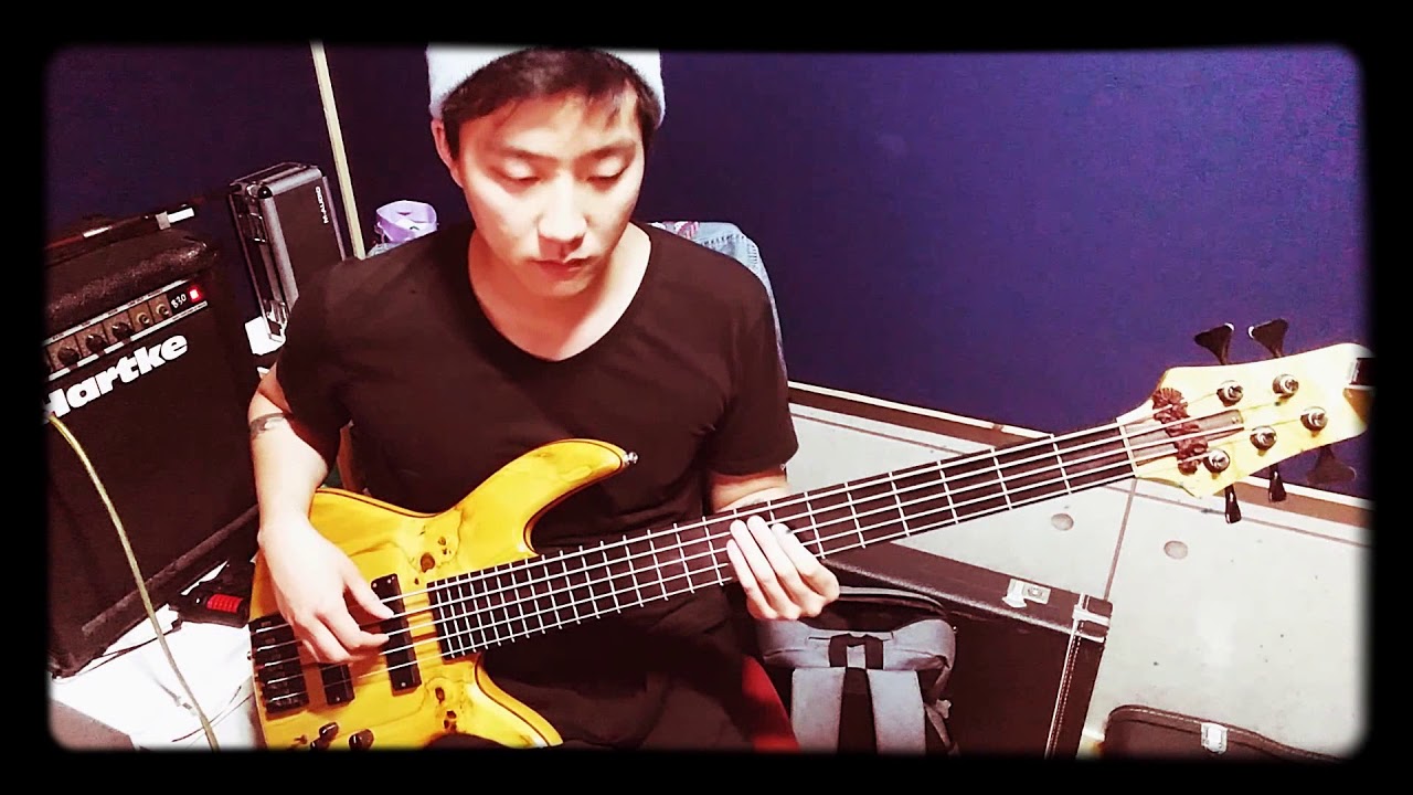 BTS(방탄소년단) - 134340 [bass cover]