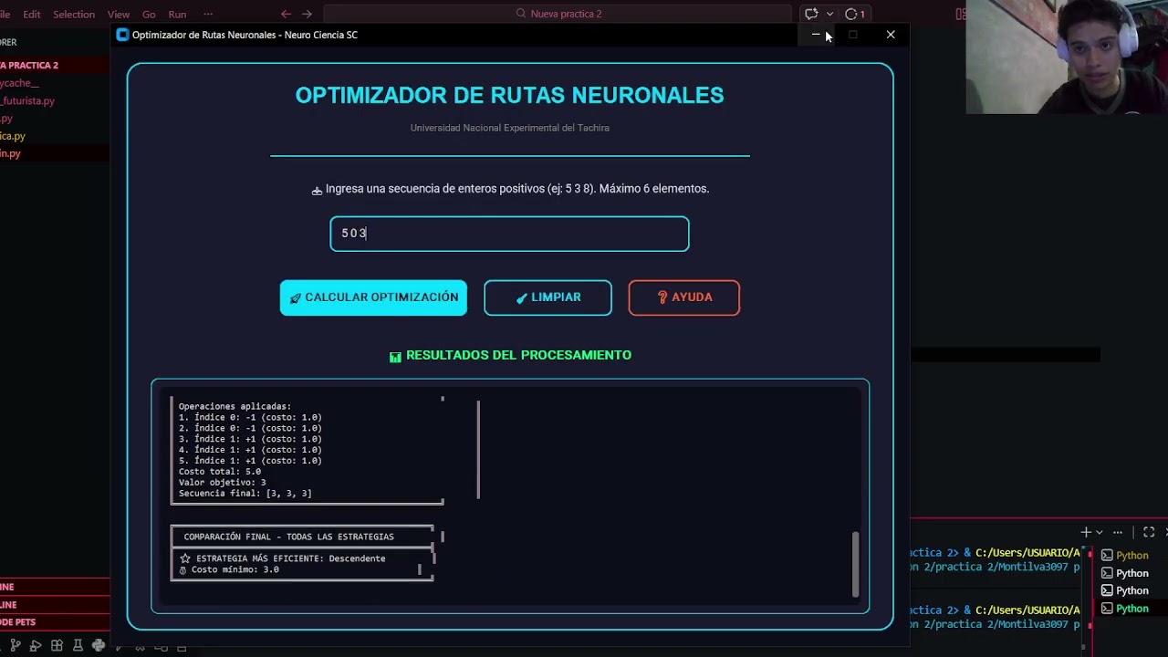 Practica 2 optimizador de redes neuronales