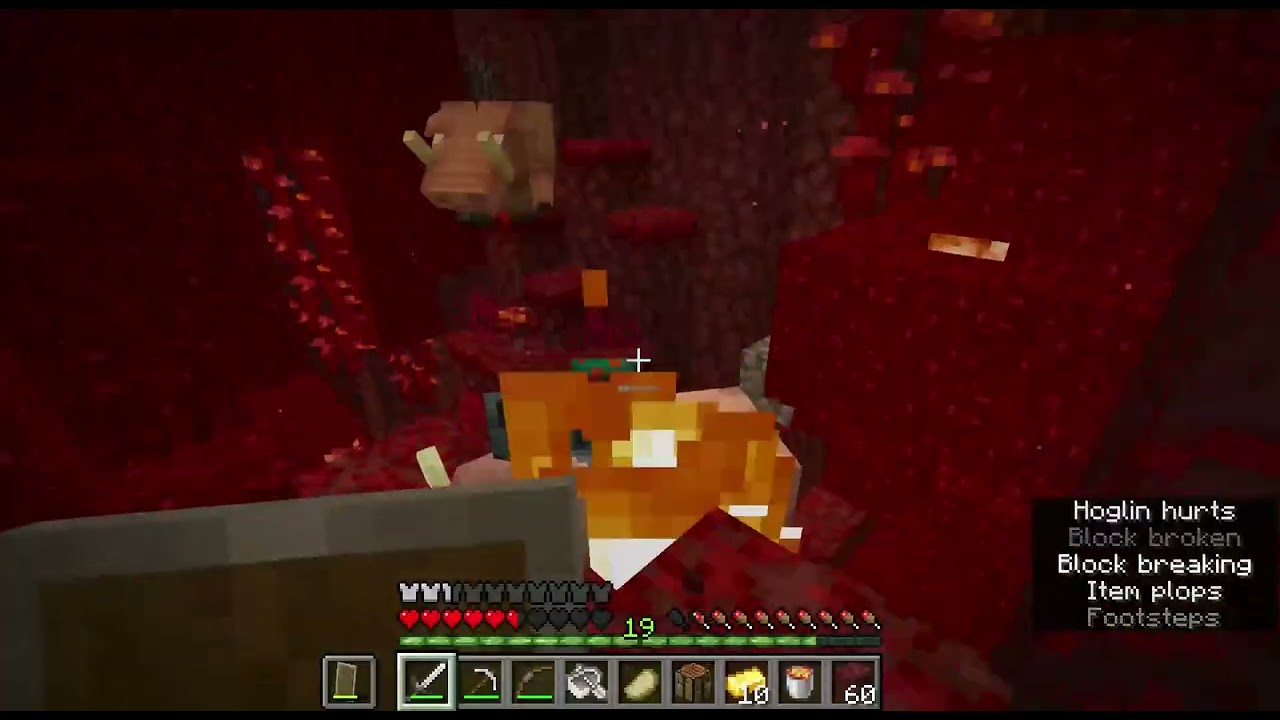chill minecraft gameplay 5