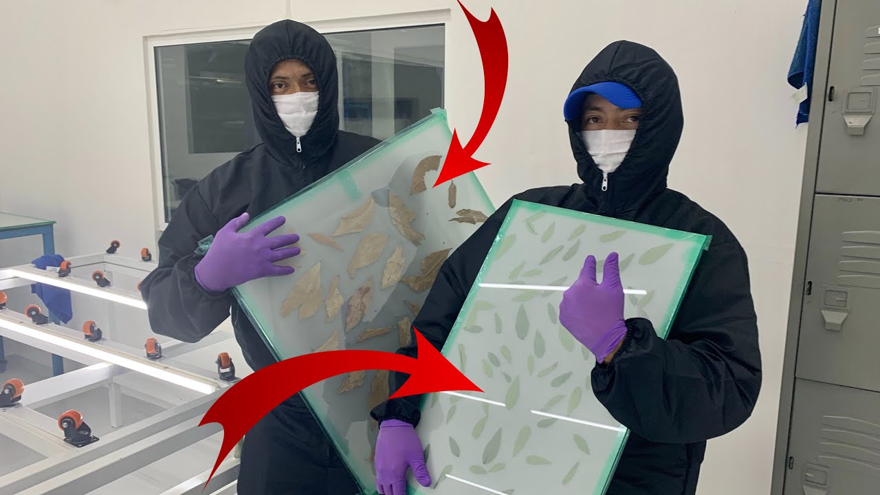 VIDRIO LAMINADO con DISEÑOS ¿CÓMO se HACE ?