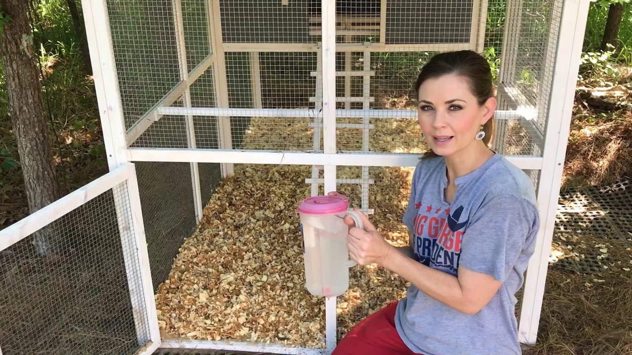 Garden Walk In Chicken Coop From Tractor Supply