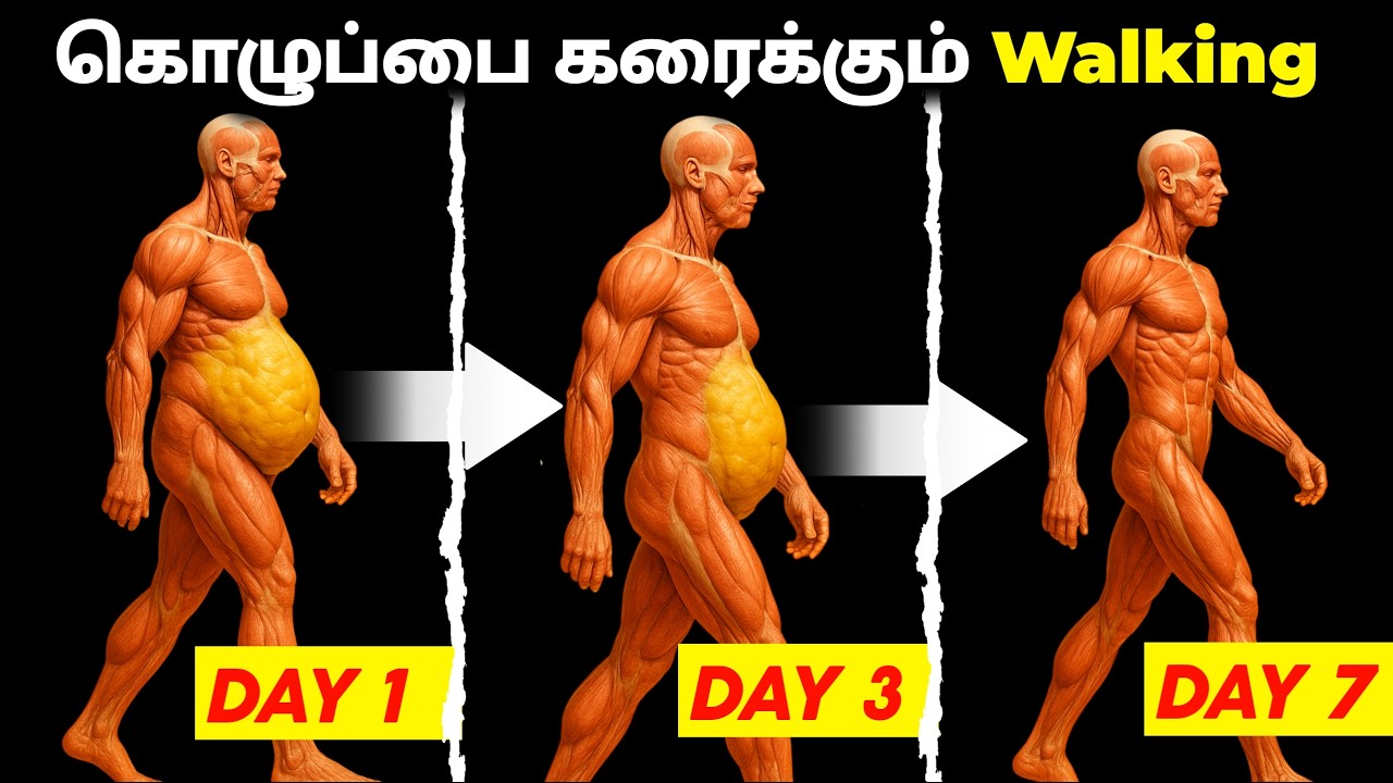 நடந்தே கொழுப்பை கரைக்கலாம் | 7 DAYS WALKING FAT LOSS CHALLENGE