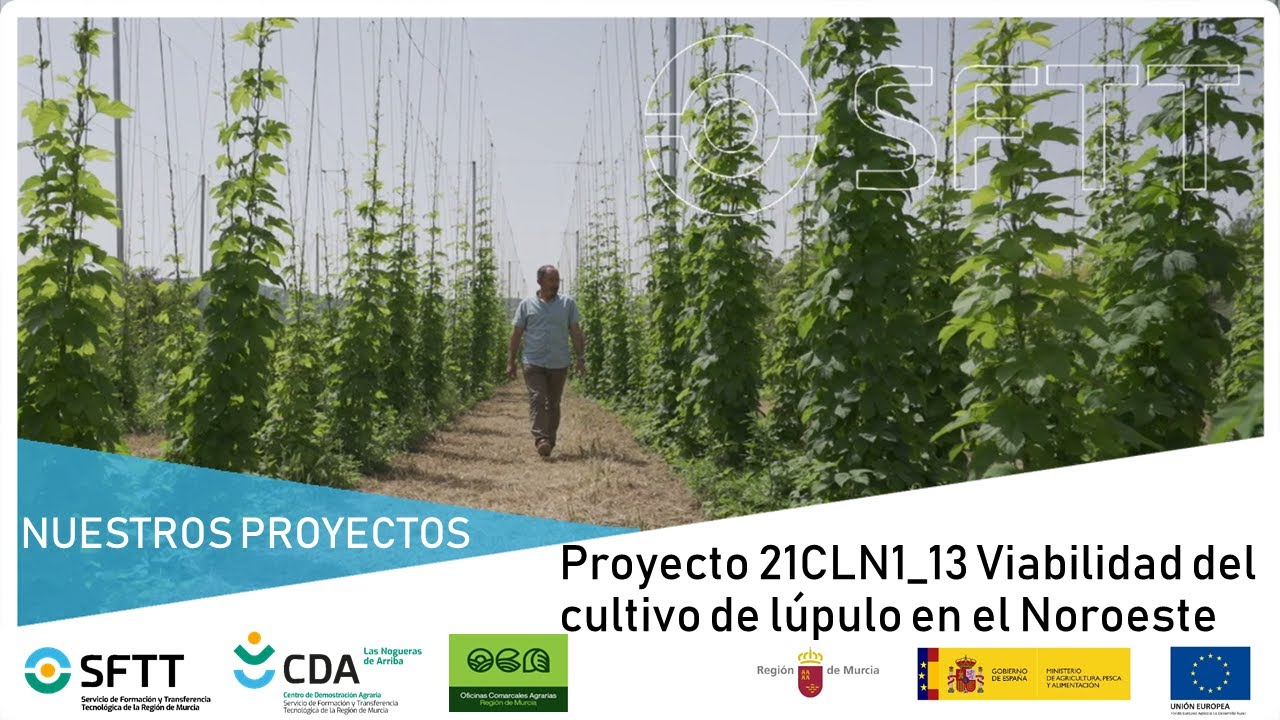 Proyecto 21CLN1_13 Viabilidad cultivo Lúpulo