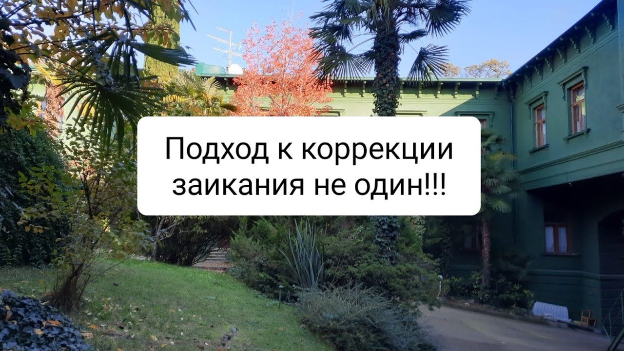 В видео описаны случаи людей с заиканием и разные подходы к его коррекции