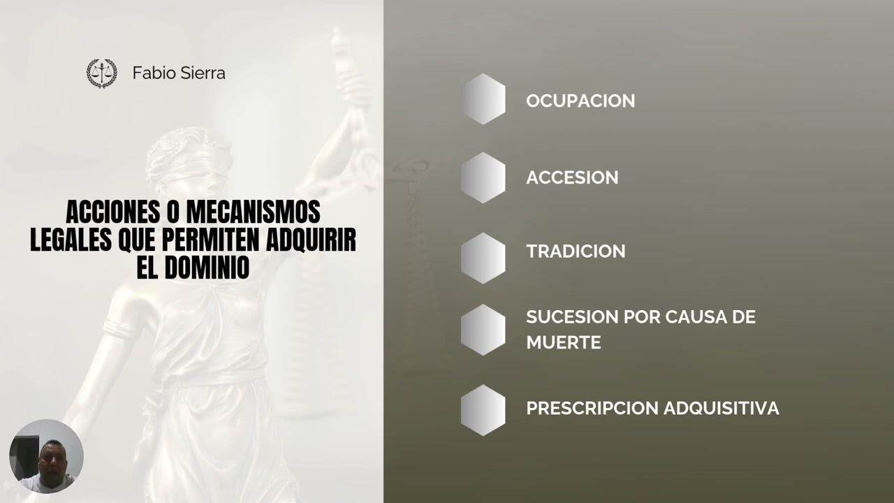 Acciones legales para protección del dominio y cuáles permiten adquirirlos 