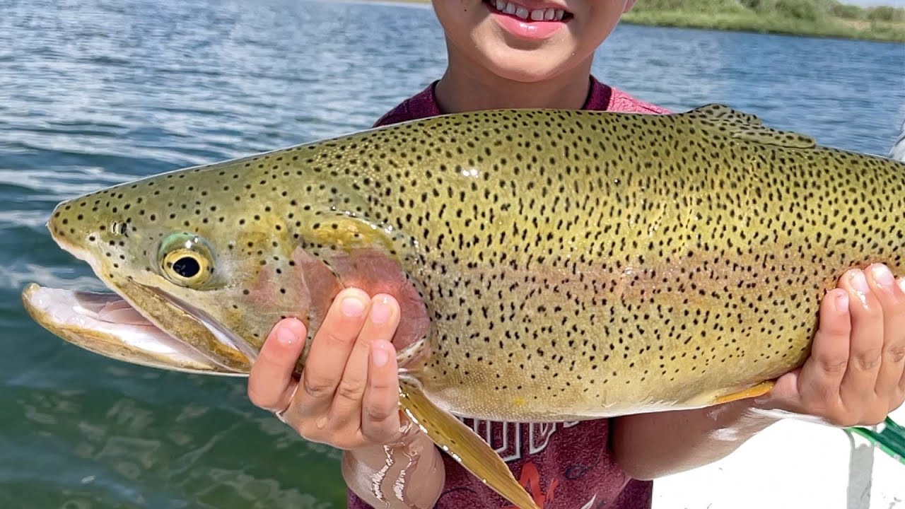 NON STOP HOGS - Fly Fishing Colorado's Spinney Mountain Reservoir for BIG TROUT using Hoppers