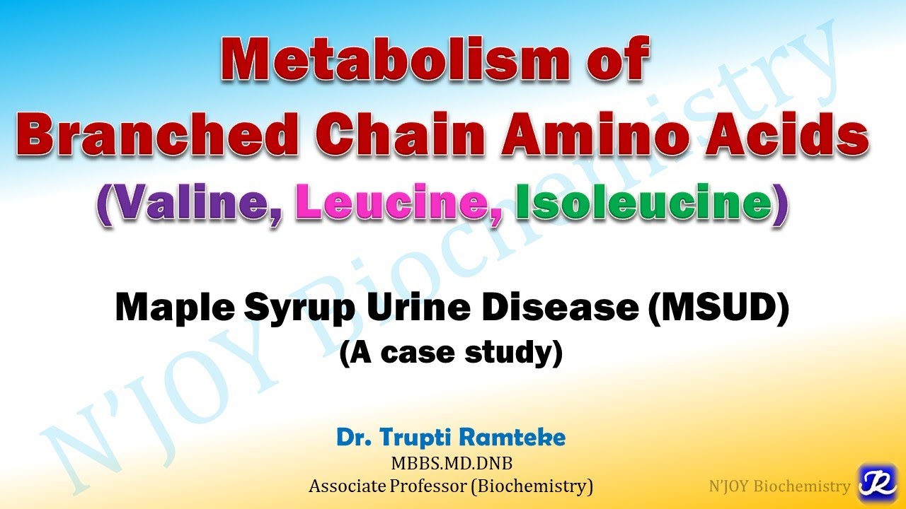 16: Branched chain amino acids Metabolism|Amino Acids Metabolism | Biochemistry | N'JOY Biochemistry