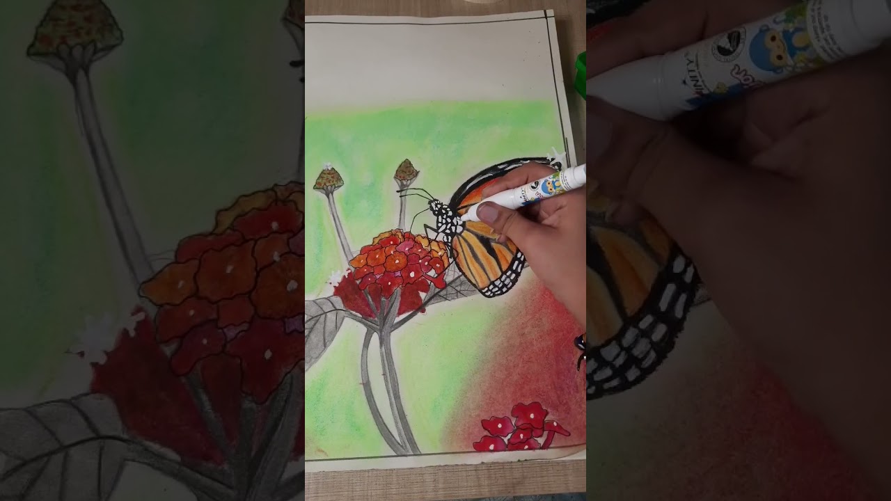 Drawing A Simple Butterfly With Watercolor Pencil And Graphite/Charcoal Pencil 🦋 #Shorts #Butterfly