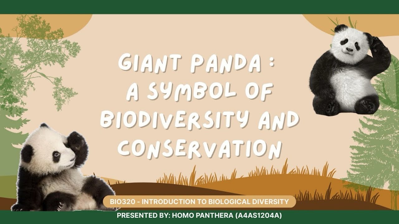 BIO320 | GIANT PANDA: A SYMBOL OF BIODIVERSITY AND CONSERVATION