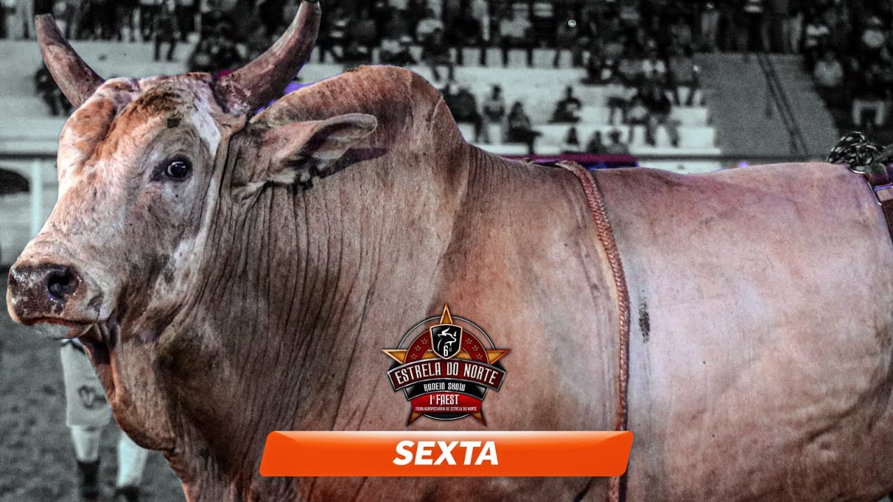 Rodeio de ESTRELA DO NORTE 2024 (SEXTA / MELHORES MOMENTOS)