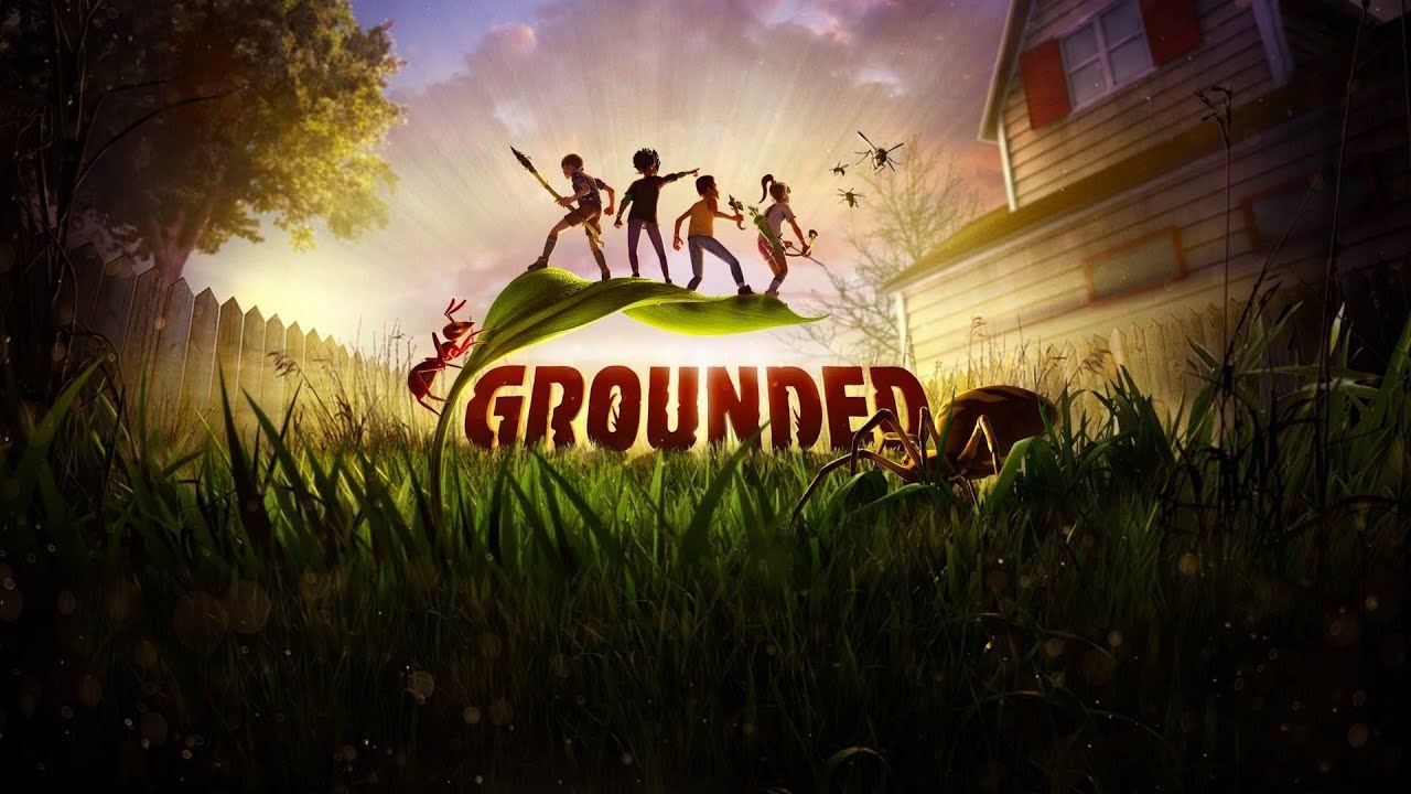 Grounded | A Slow Beginning