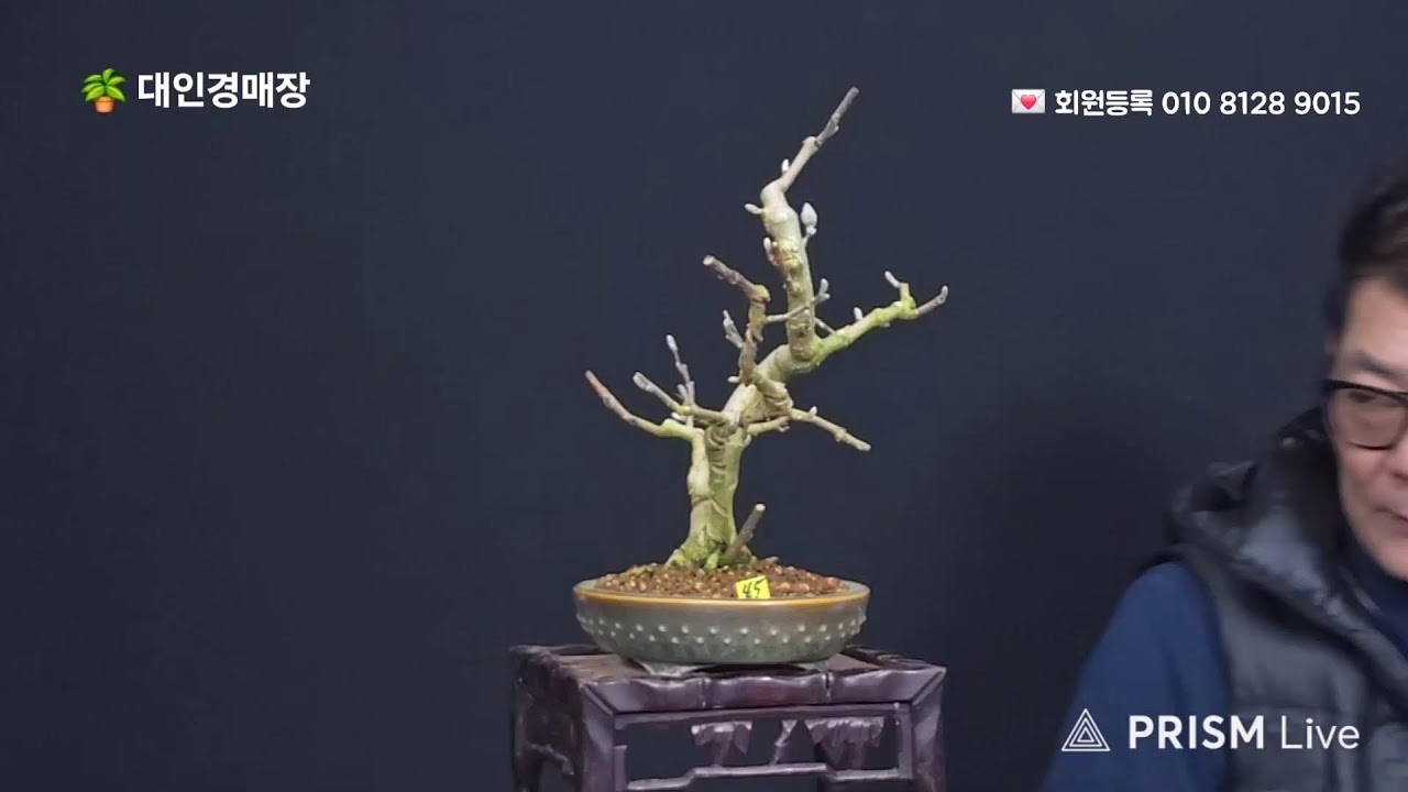 대인경매장 2월25일(수) 