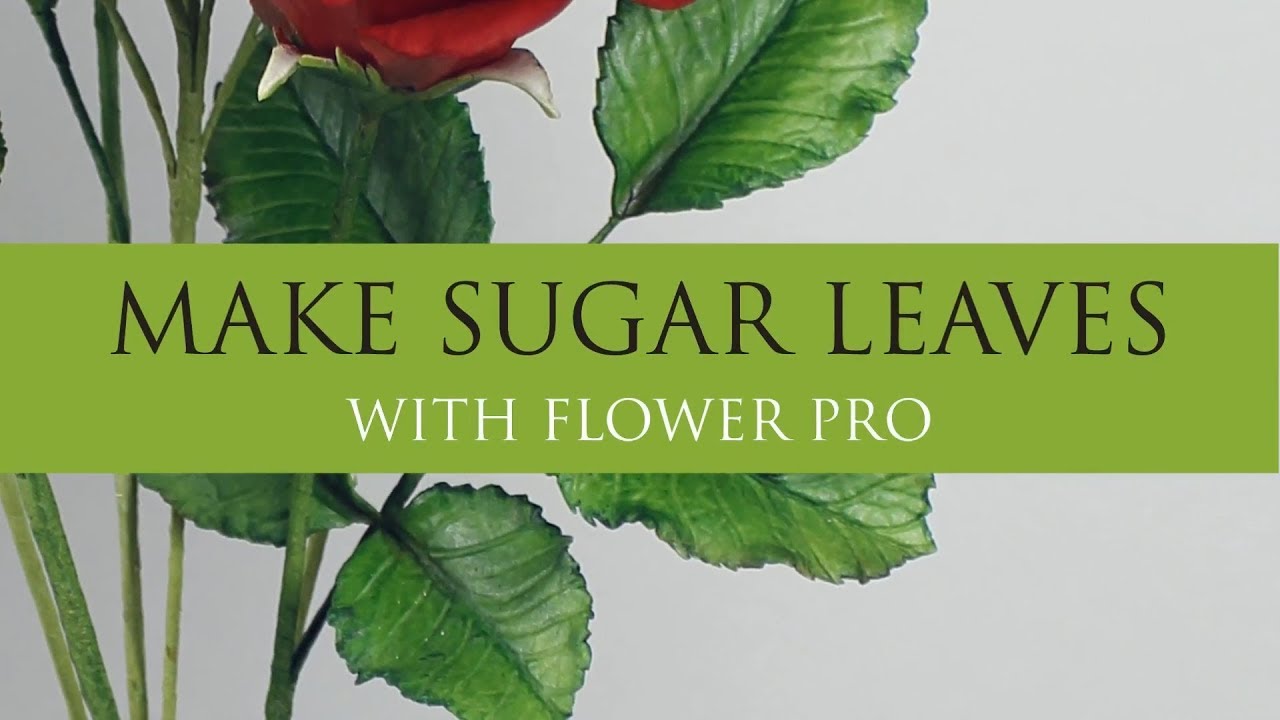 Как легко сделать сахарные листья для роз с помощью Flower Pro l Sugar Flowers
