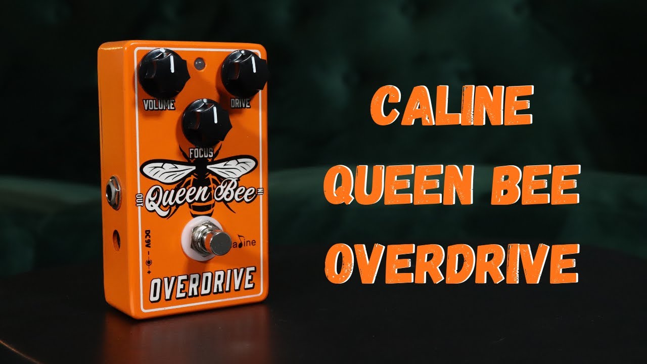 Caline Queen Bee Overdrive - Guitar Pedal Demo/Review