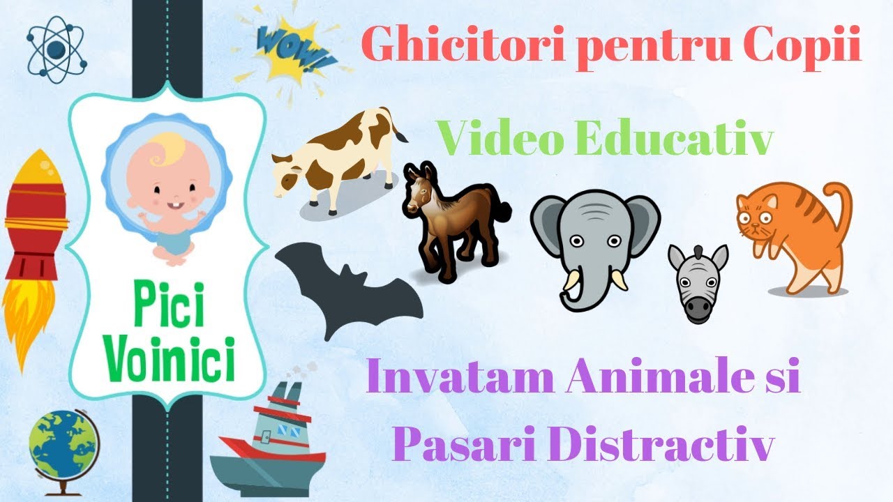 Ghicitori pentru Copii Video Educativ Invatam Animalele si Pasarile Distractiv