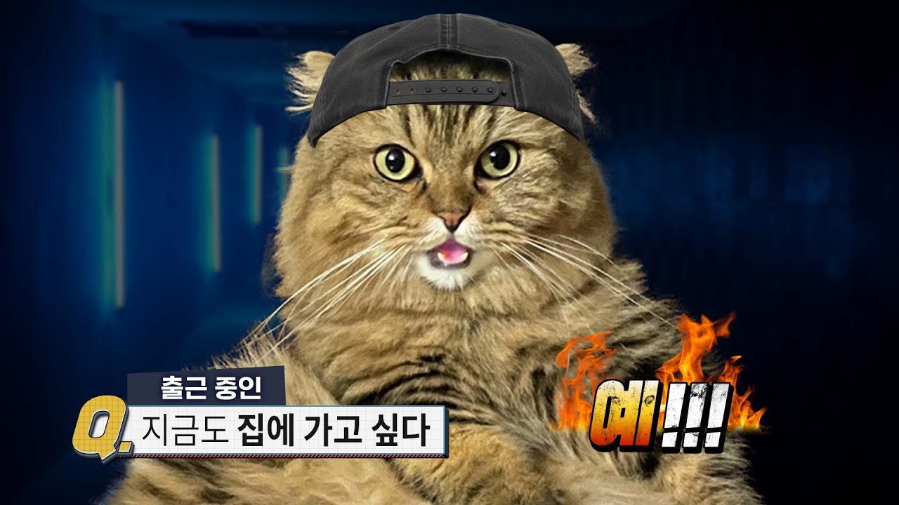 [출근 ccm playlist] 이랬던 나의 출근길이 이 플리를 만난 순간 달라졌다..! | 월요병 치료 | 산뜻하게 하루 시작하기 🤍