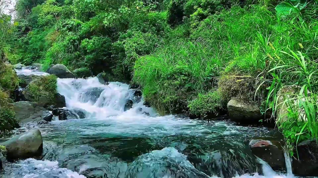 Mountain river sounds for calming the mind