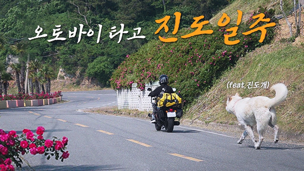 대한민국 서남쪽 끝 진도 한 바퀴, 그리고 개판오분전🐶│오토바이 여행│모토캠핑