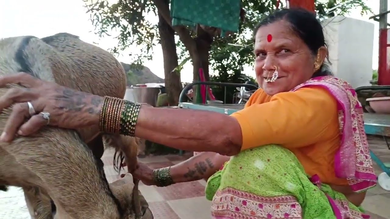 शेली वेल्यानंतर कोणती काळजी घेतली पाहिजे.. सासूबाई च व्हिडिओ नक्की पाहा 🤗