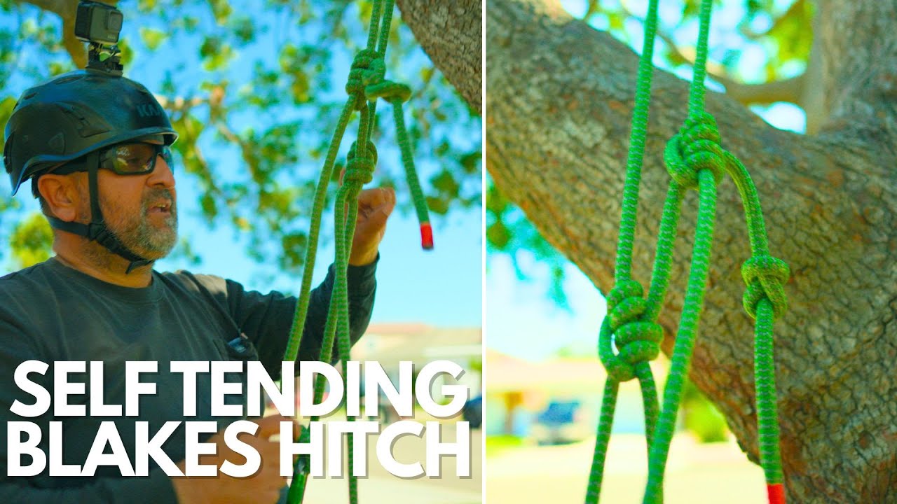 4 Self-Tending Blake’s Hitches To Climb Faster