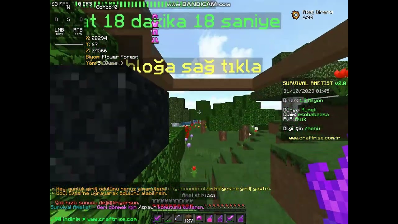 survival ametist açık alan #craftrise