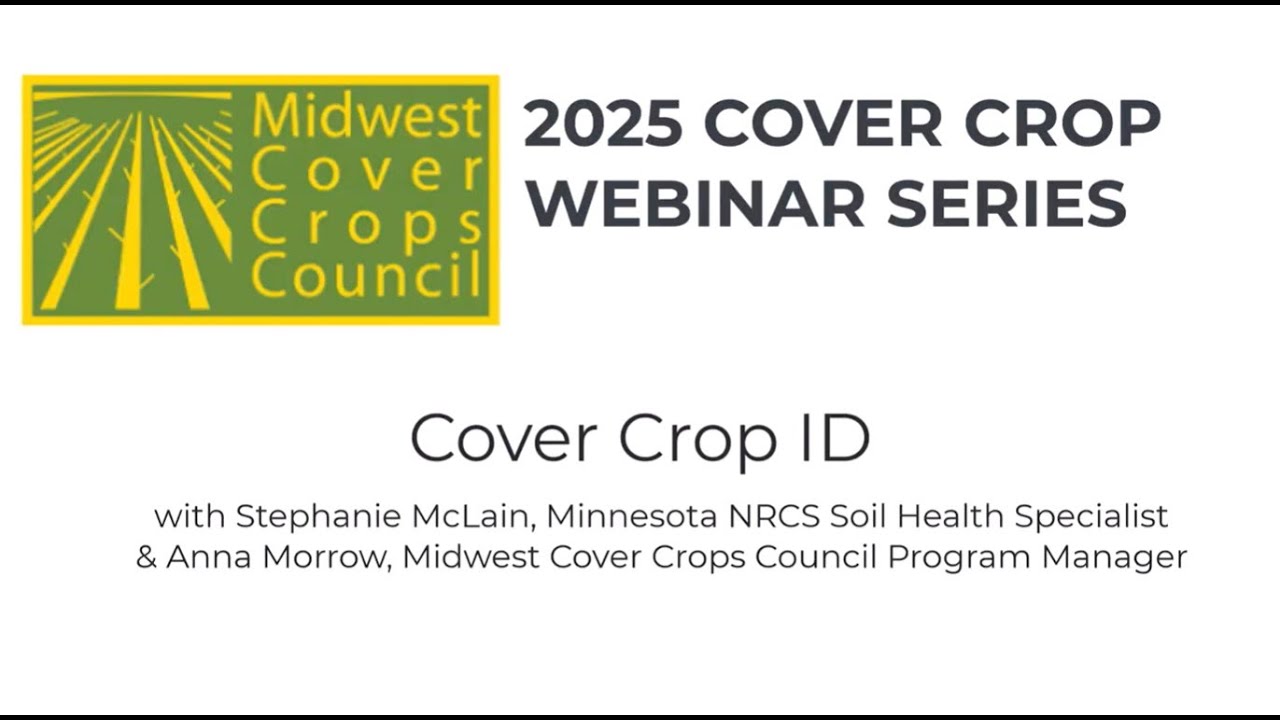 Cover Crop Identification & Using the Field Guide