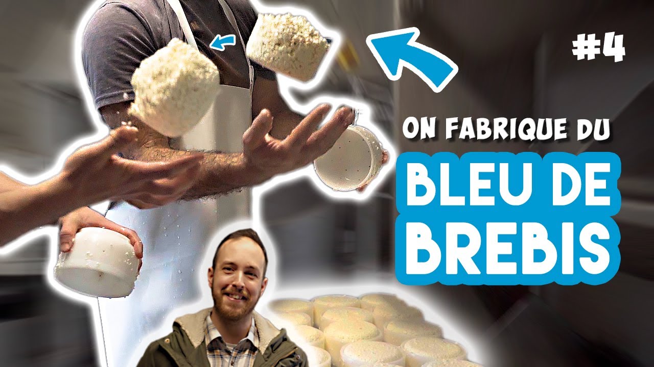 👨🏻‍🌾 ALLANDE m'invite chez lui pour fabriquer du Bleu de brebis !! 🐑 #immersion #cheese #basque