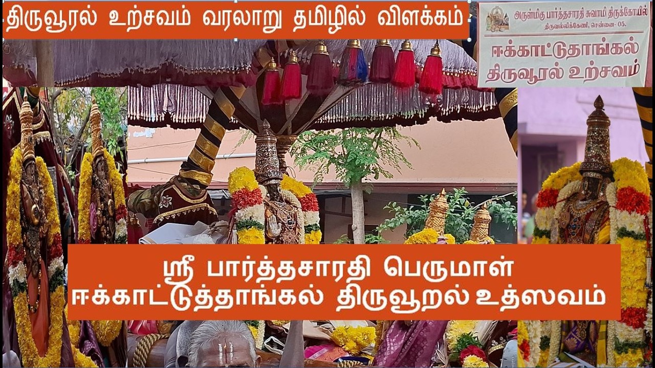 திருவல்லிக்கேணி ஸ்ரீ பார்த்தசாரதி பெருமாள் ஈக்காட்டுத்தாங்கல் திருவூறல் உத்ஸவம் - 2026.