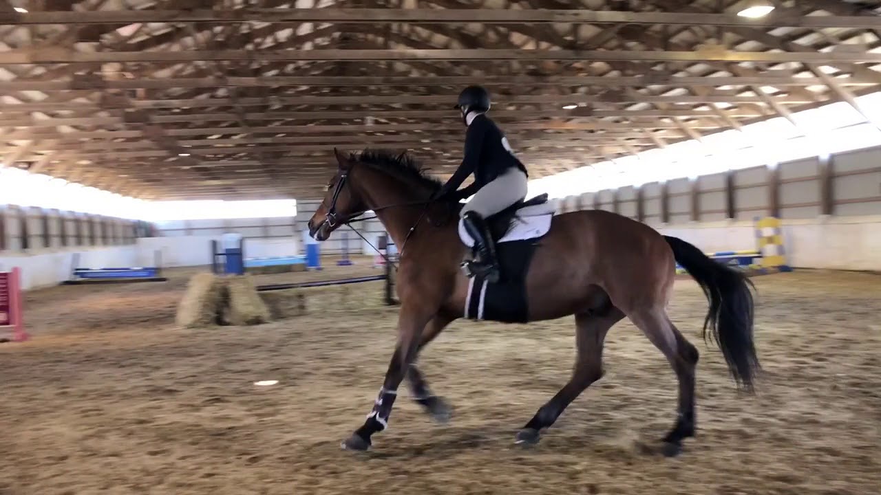 Novice Fences Regionals Nicole Speranzo