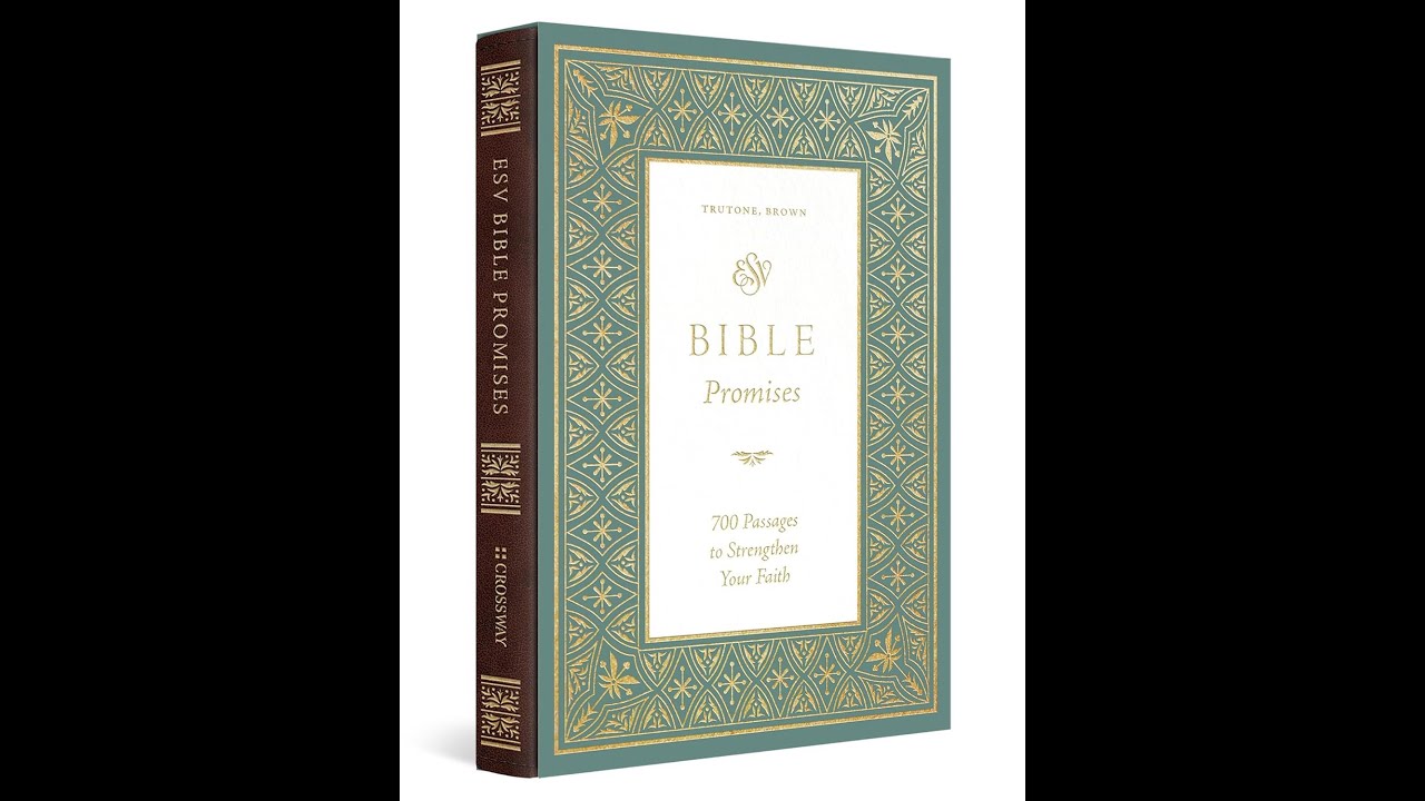 Bible Promises Book